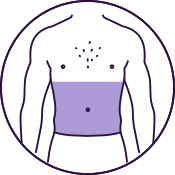 Stomach (Full)