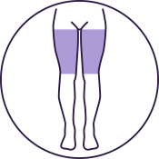 Legs (Upper)