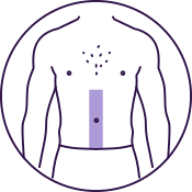 Stomach (Strip)