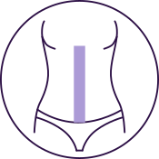 Stomach (Strip)