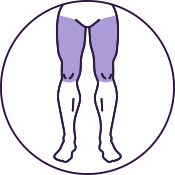 Legs (Upper)