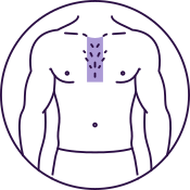 Chest (Strip)
