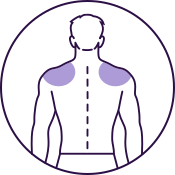 Shoulders
