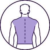 Back (Full)